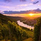 Sonnenuntergang an der Mosel