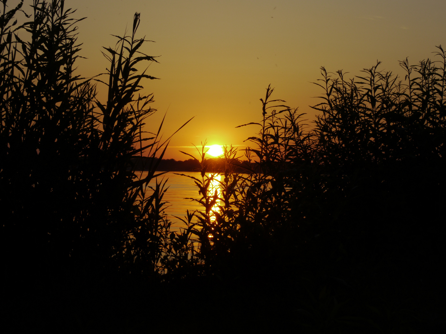 Sonnenuntergang an der Müritz