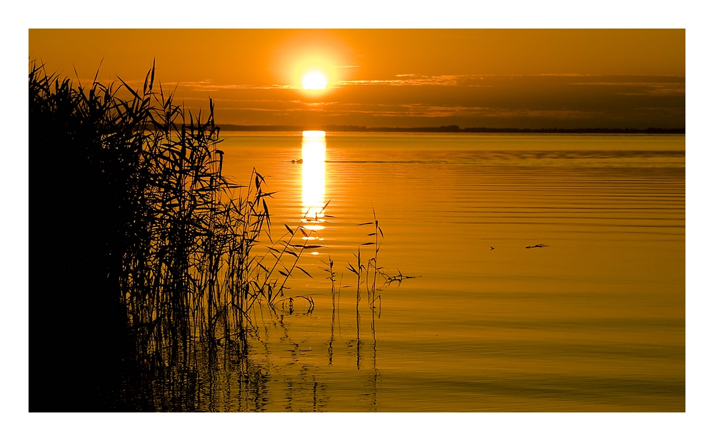 Sonnenuntergang an der Müritz