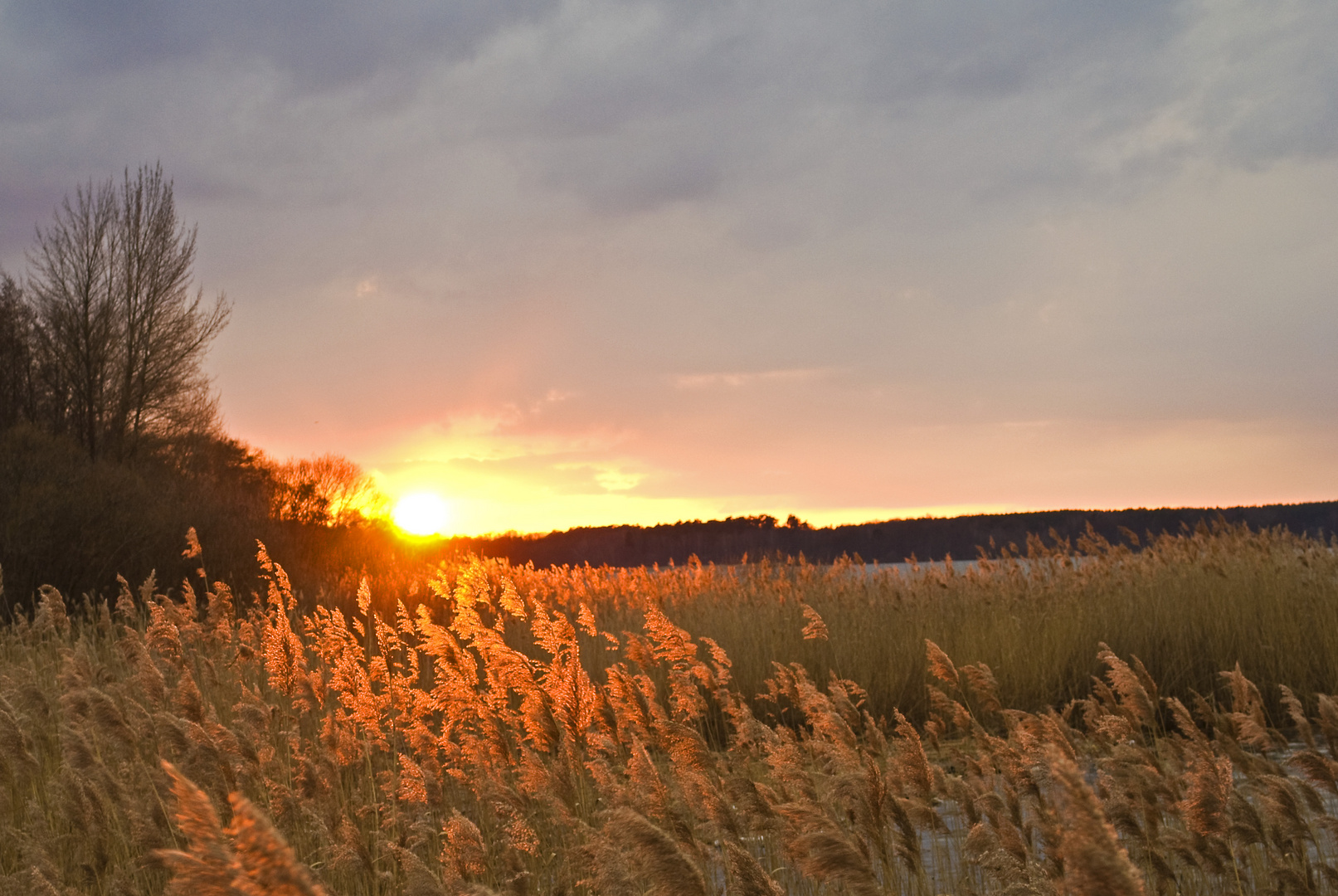 Sonnenuntergang an der Müritz