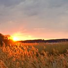 Sonnenuntergang an der Müritz