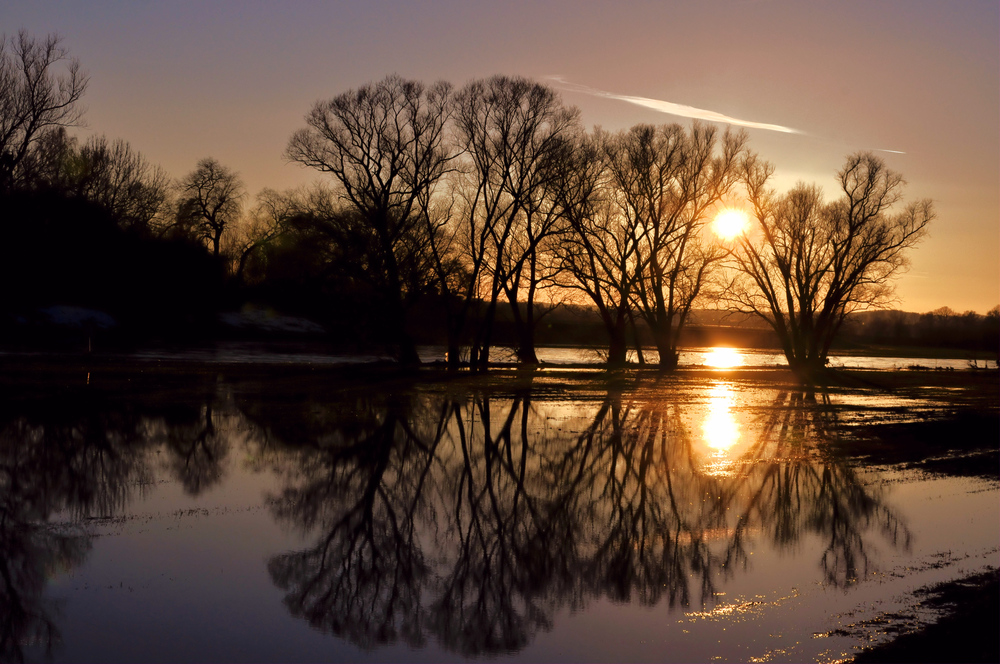 ~~~~~~~~~~~~~~~~Sonnenuntergang an der Mulde~~~~~~~~~~~~~~~~~