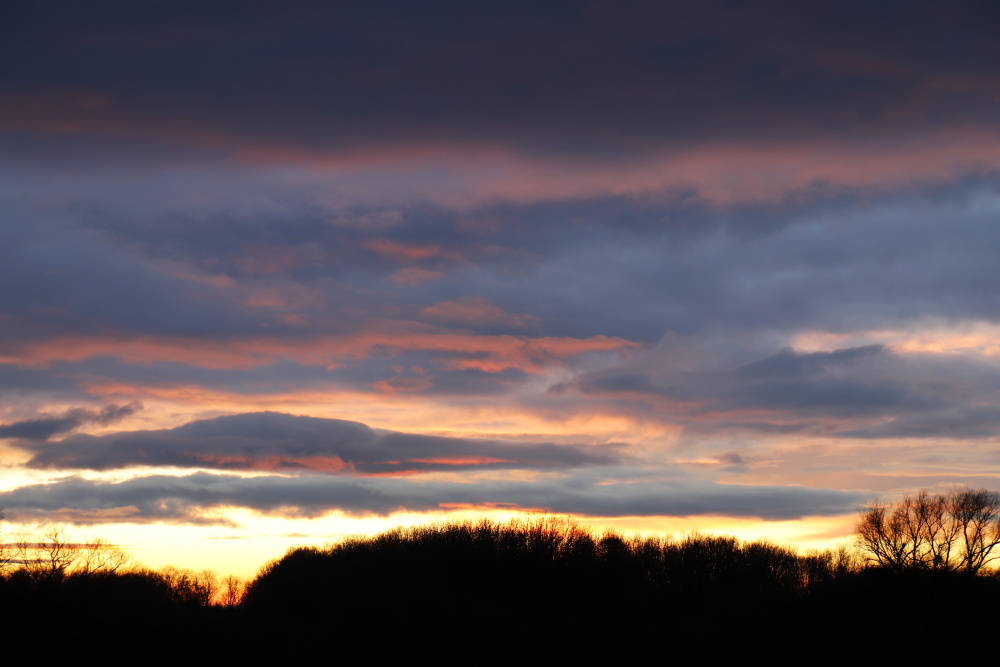 Sonnenuntergang an der Mulde - Bild 1