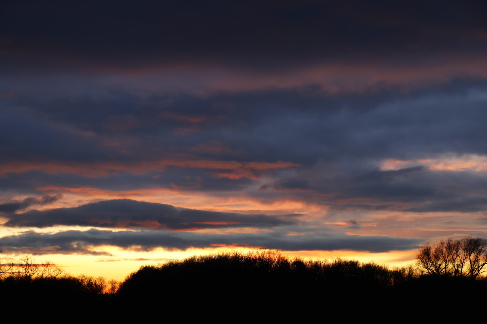 Sonnenuntergang an der Mulde - Bild 2