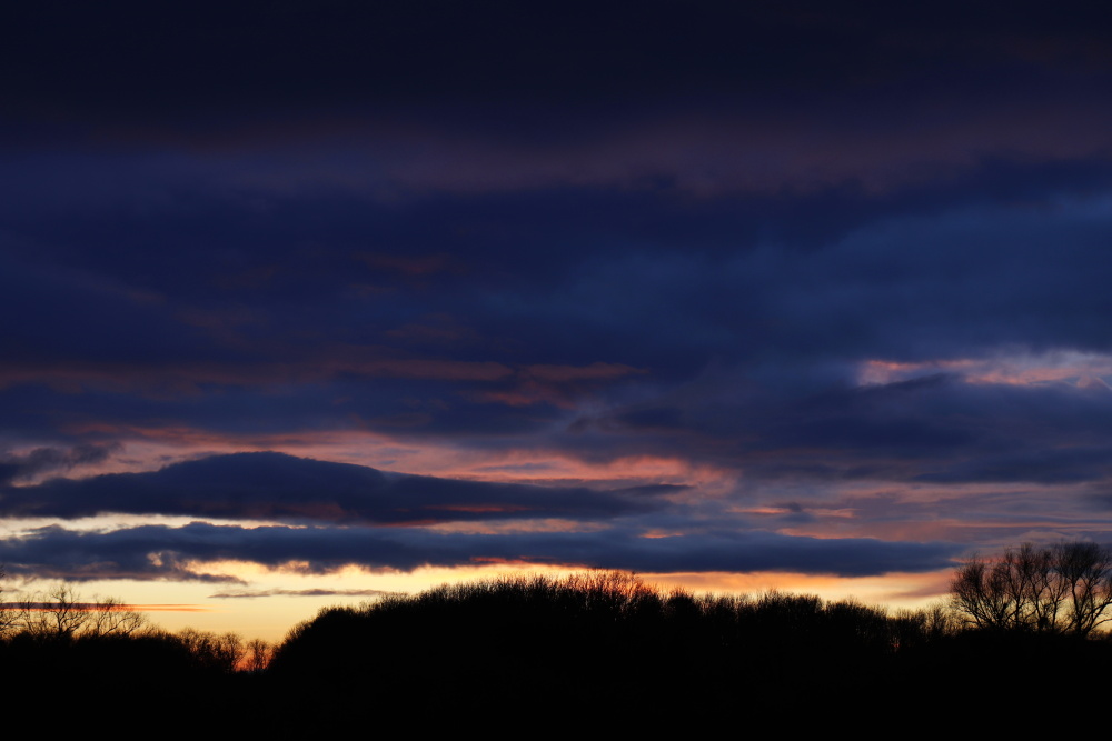 Sonnenuntergang an der Mulde - Bild 3