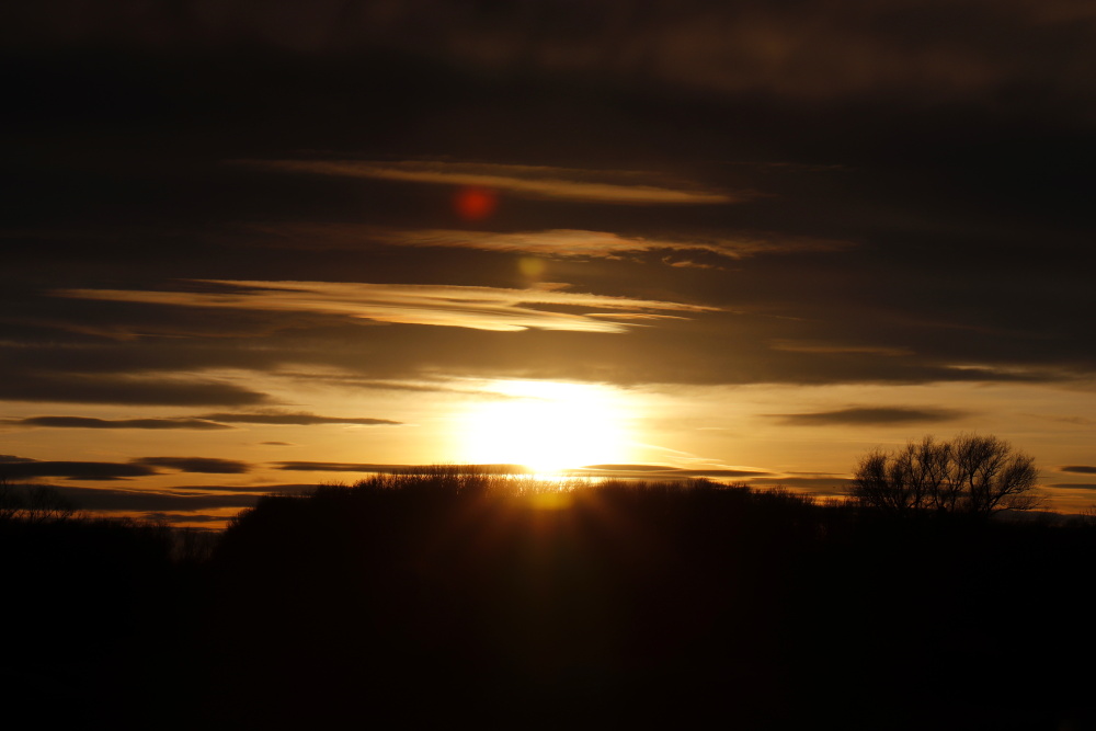 Sonnenuntergang an der Mulde - Bild 4