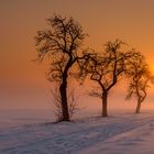 Sonnenuntergang an der Nebelgrenze