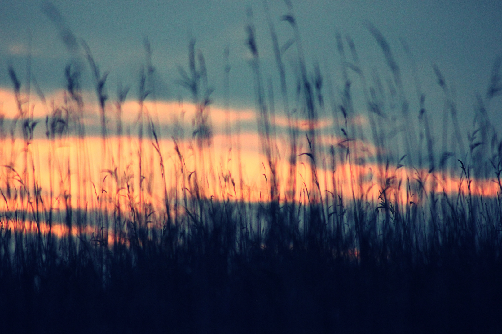 Sonnenuntergang an der Nordsee