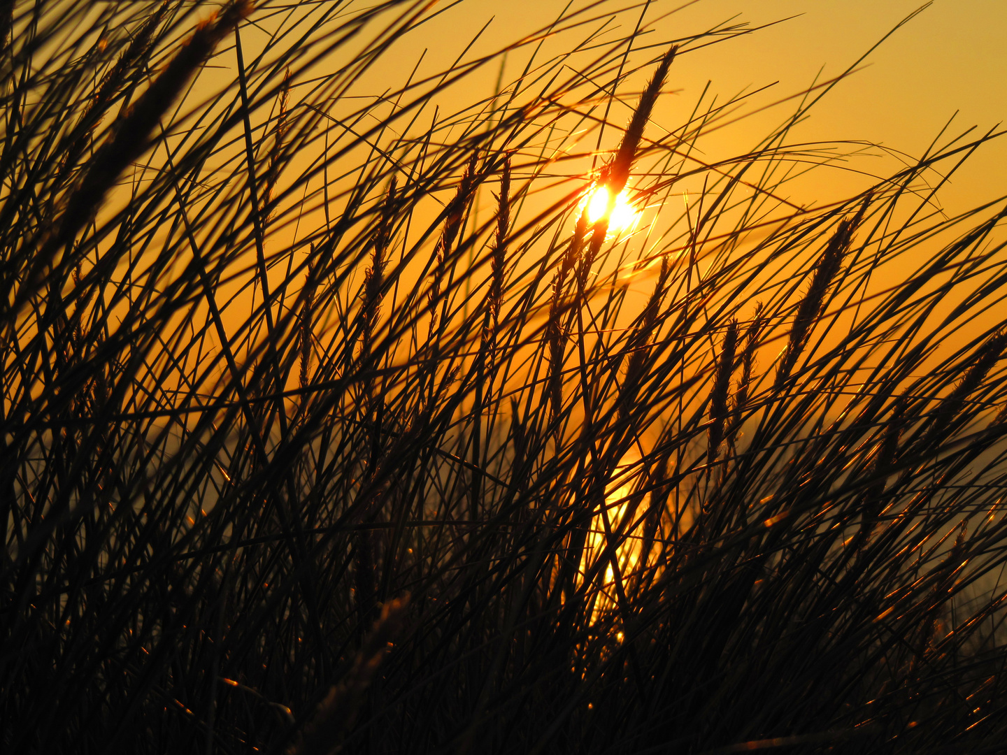 Sonnenuntergang an der Nordsee