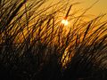 Sonnenuntergang an der Nordsee von NickieB 