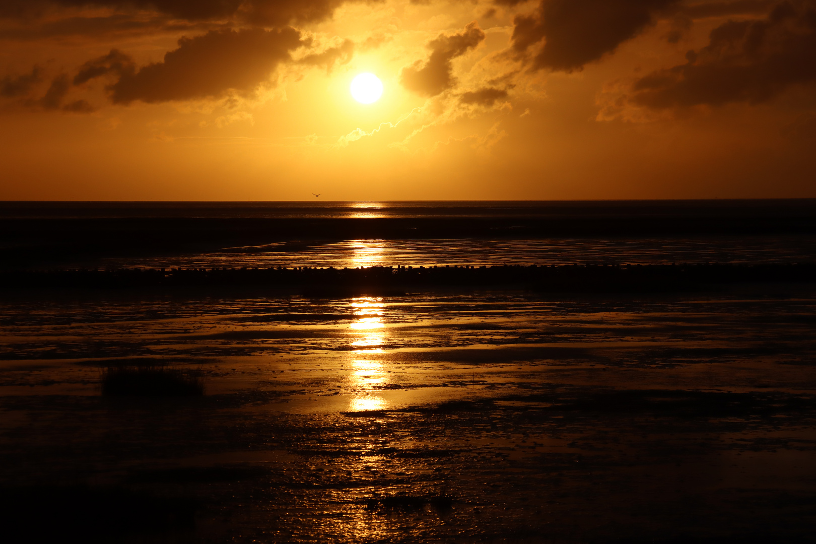 Sonnenuntergang an der Nordsee (4).....