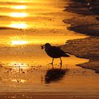 Sonnenuntergang an der Nordsee