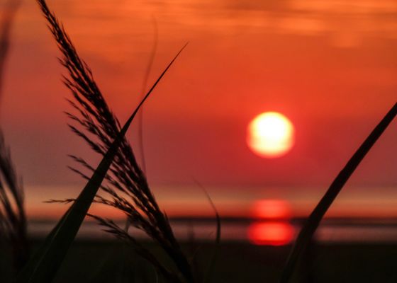 Sonnenuntergang an der Nordsee