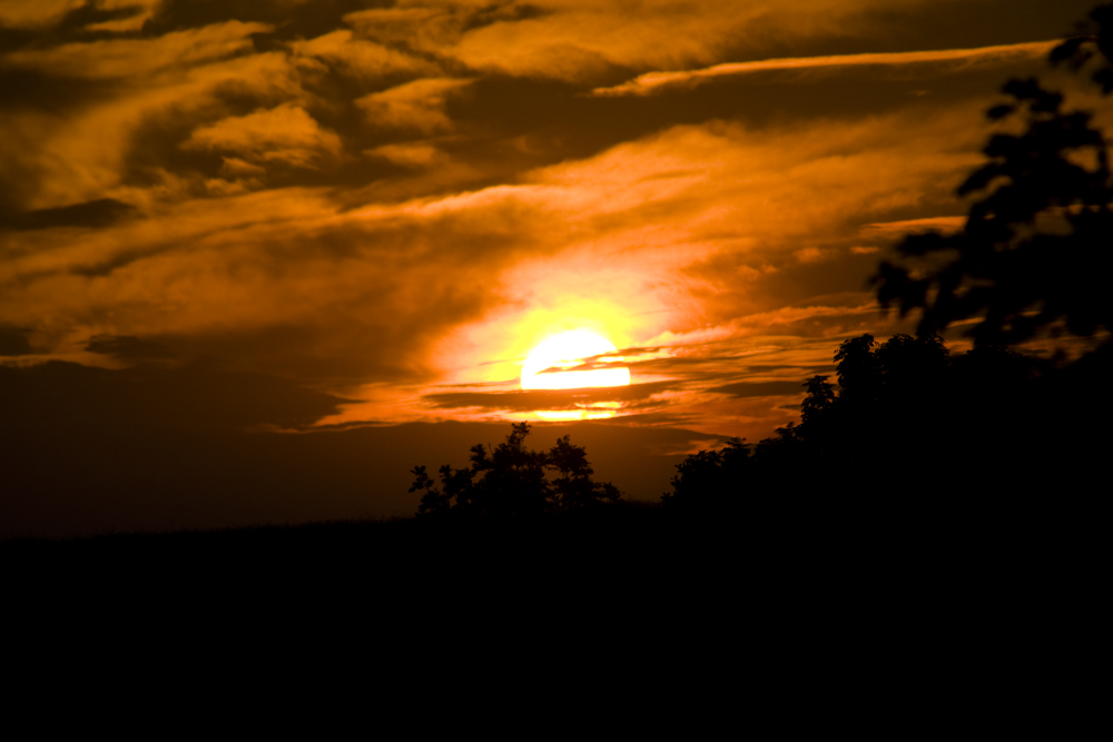 Sonnenuntergang an der Nordsee von Andrea Fränken 