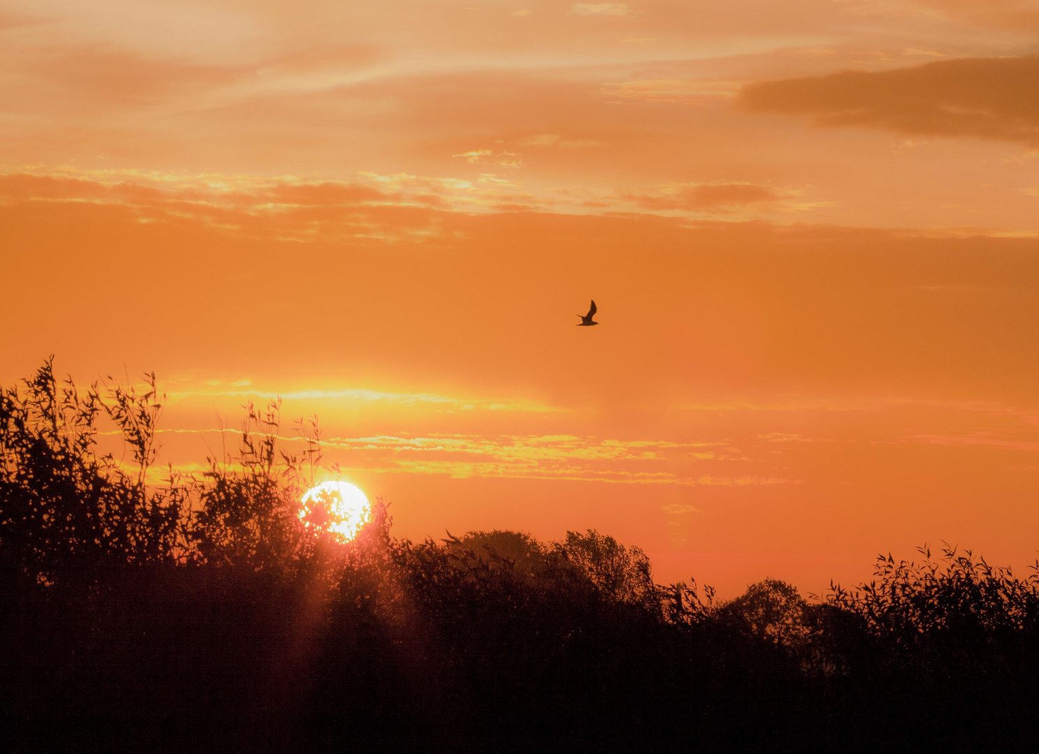 Sonnenuntergang an der Nordsee