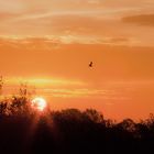 Sonnenuntergang an der Nordsee