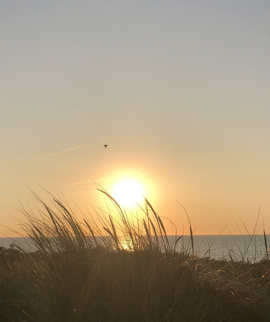 Sonnenuntergang an der Nordseeküste 