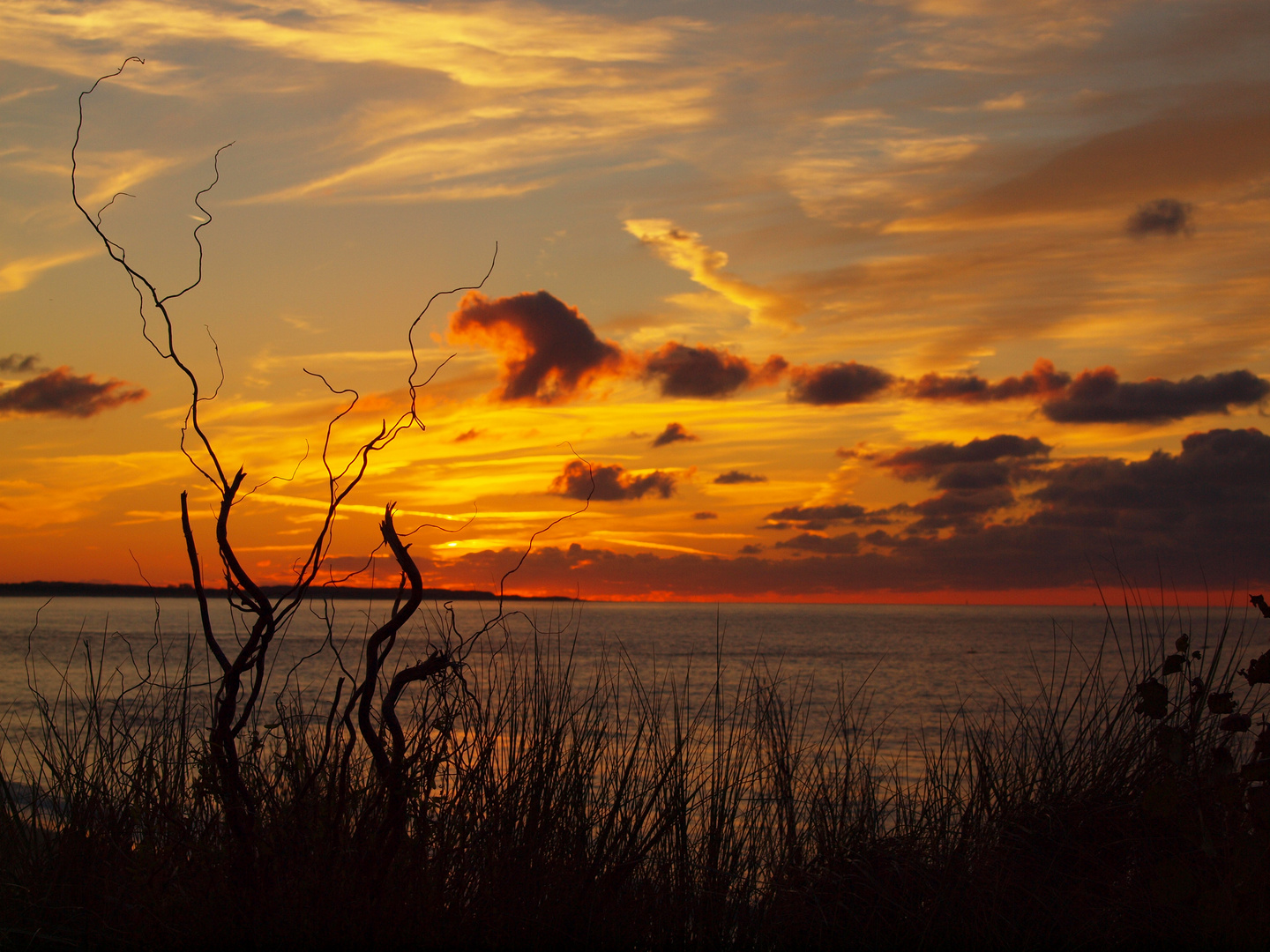 Sonnenuntergang an der Nordseeküste in der Nähe von Middelburg