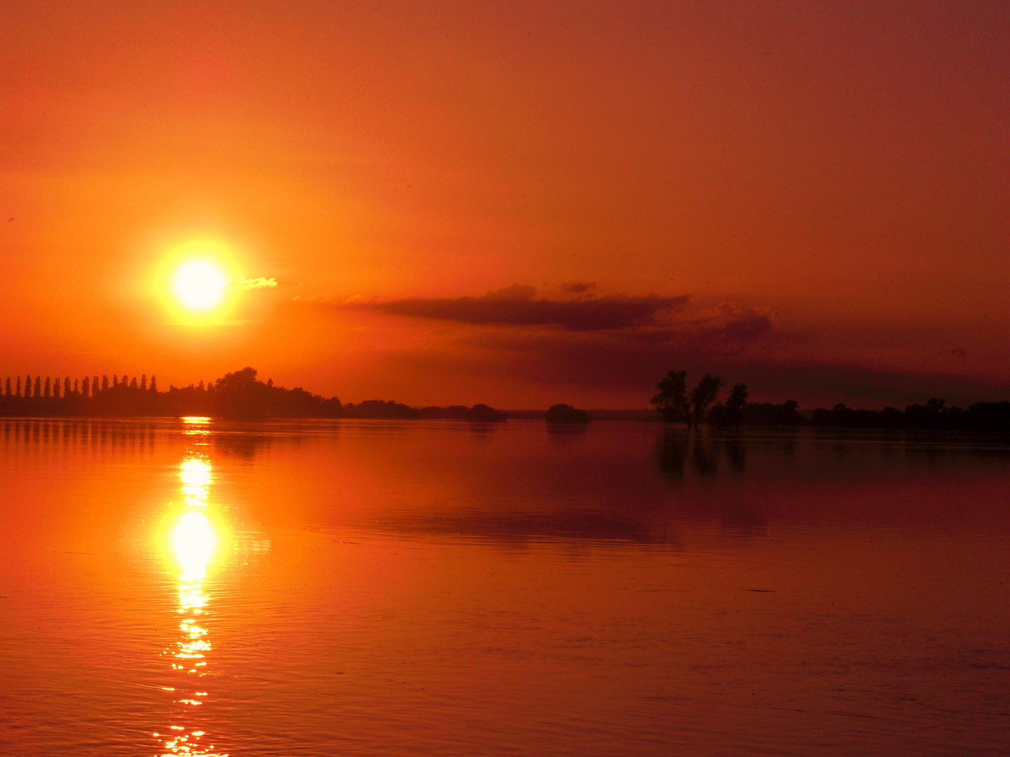 Sonnenuntergang an der Oder