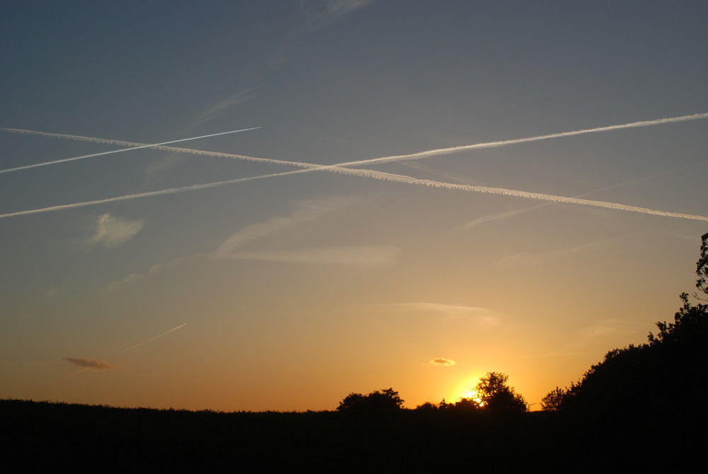 Sonnenuntergang an der Oder