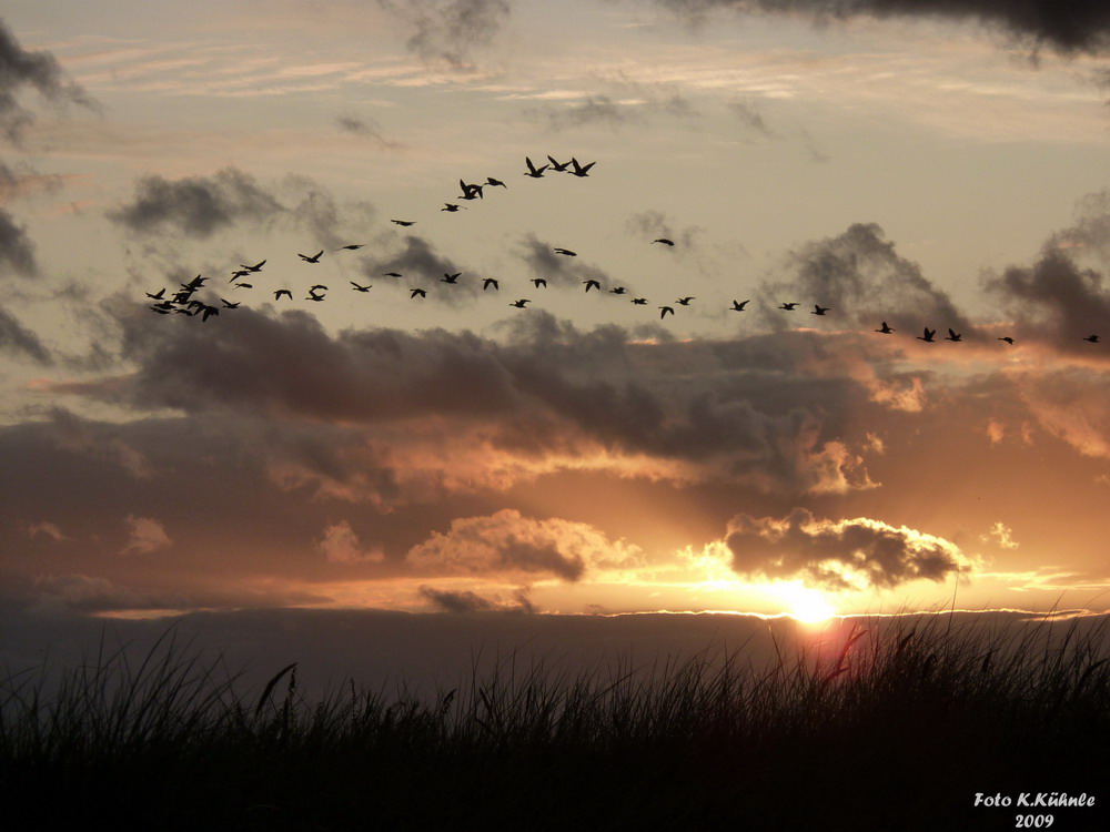 Sonnenuntergang an der Ostsee