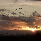 Sonnenuntergang an der Ostsee