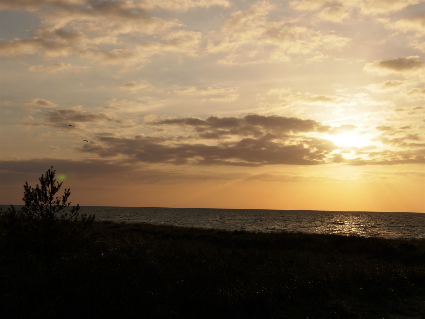 Sonnenuntergang an der Ostsee