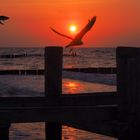 Sonnenuntergang an der Ostsee