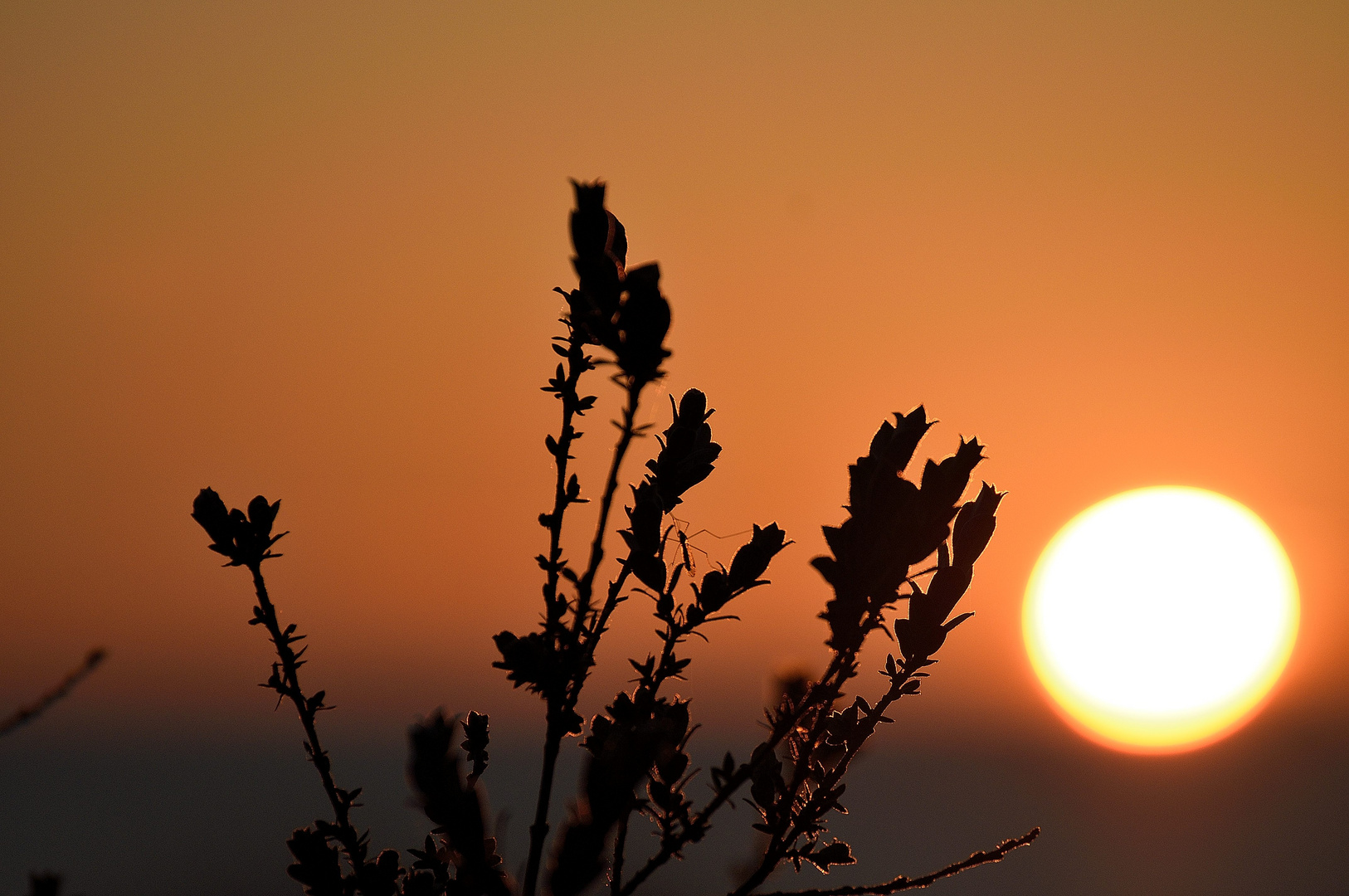 Sonnenuntergang an der Ostsee