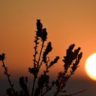 Sonnenuntergang an der Ostsee