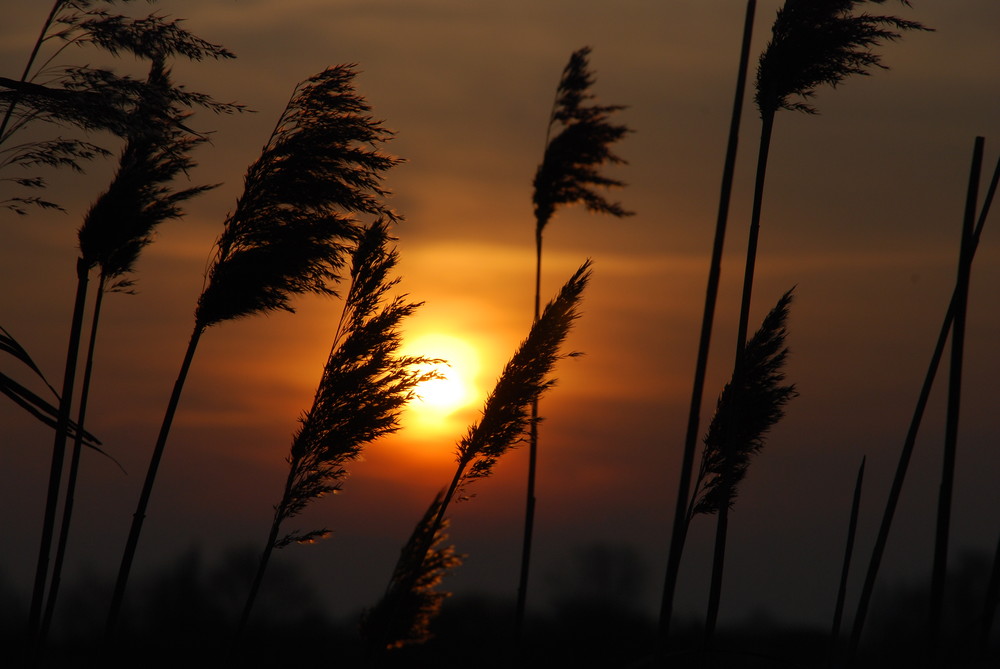 Sonnenuntergang an der Ostsee