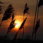 Sonnenuntergang an der Ostsee