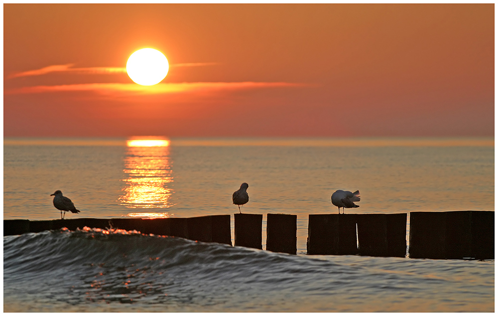 Sonnenuntergang an der Ostsee