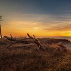 Sonnenuntergang an der Ostsee