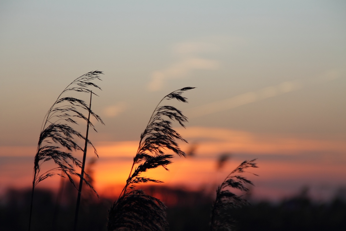 Sonnenuntergang an der Ostsee