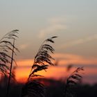 Sonnenuntergang an der Ostsee