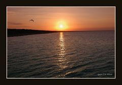 Sonnenuntergang an der Ostsee (Zinnowitz)