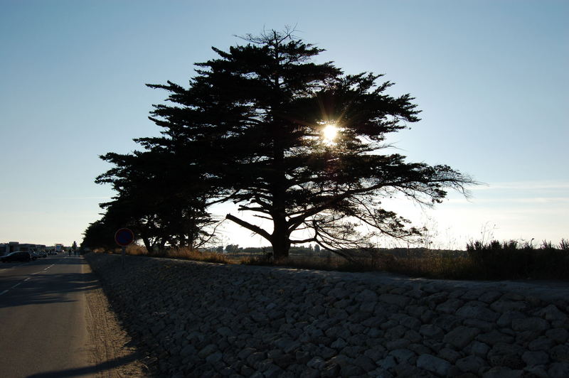 Sonnenuntergang an der "Passage du Gois"