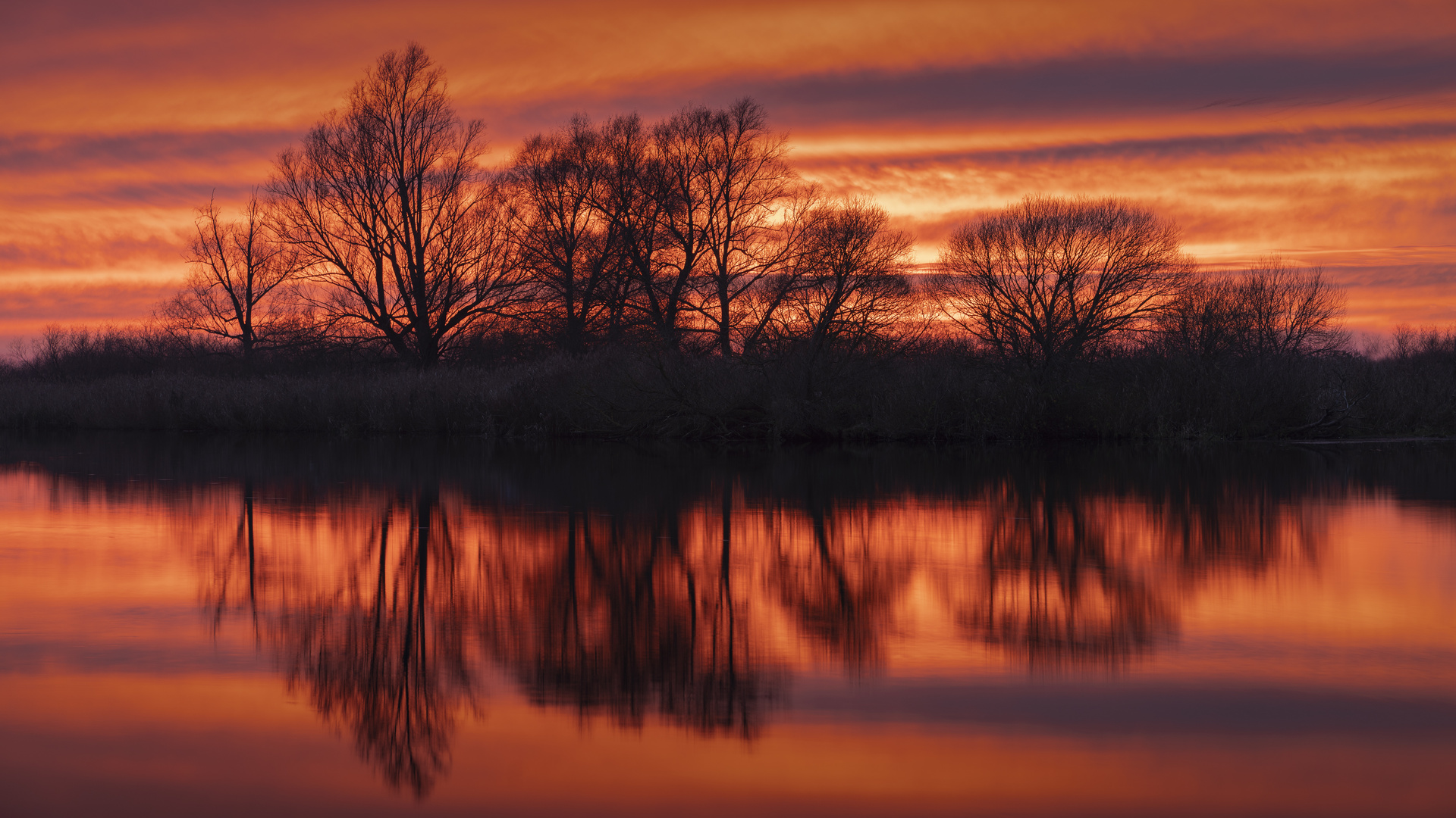 Sonnenuntergang an der Peene