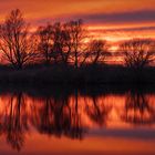 Sonnenuntergang an der Peene