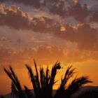 Sonnenuntergang an der Platja de Palma