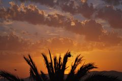 Sonnenuntergang an der Platja de Palma