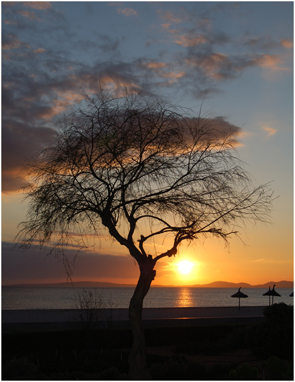 Sonnenuntergang an der Playa de Palma