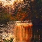 Sonnenuntergang an der Rednitz