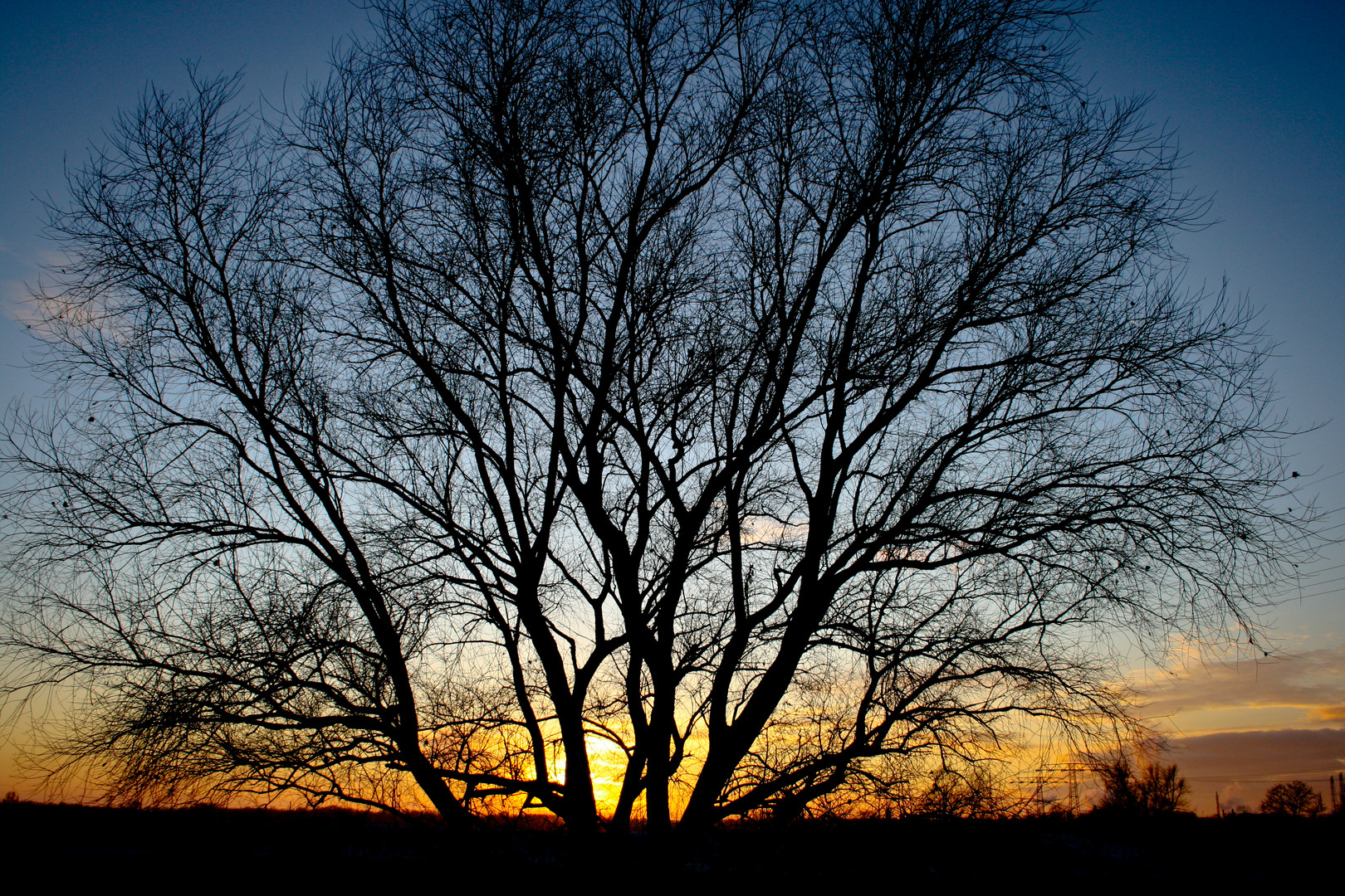 Sonnenuntergang an der Saale 2