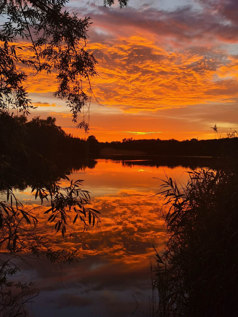 Sonnenuntergang an der Saar