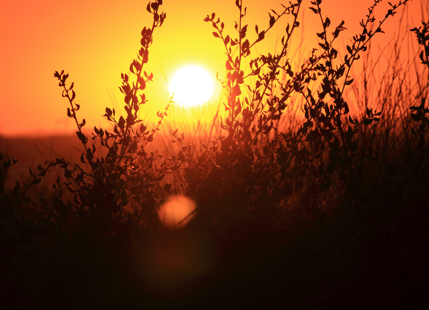 Sonnenuntergang an der Sandalgarve