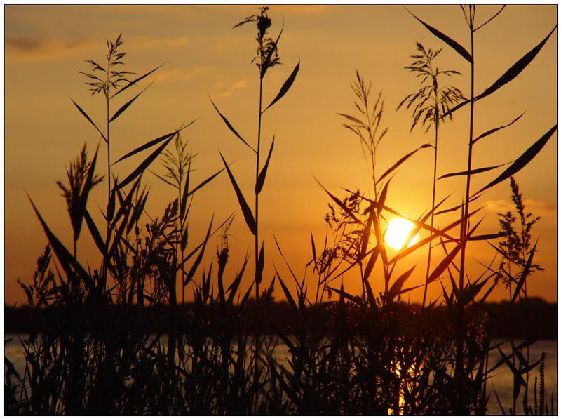 Sonnenuntergang an der Schlei