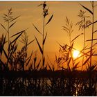 Sonnenuntergang an der Schlei