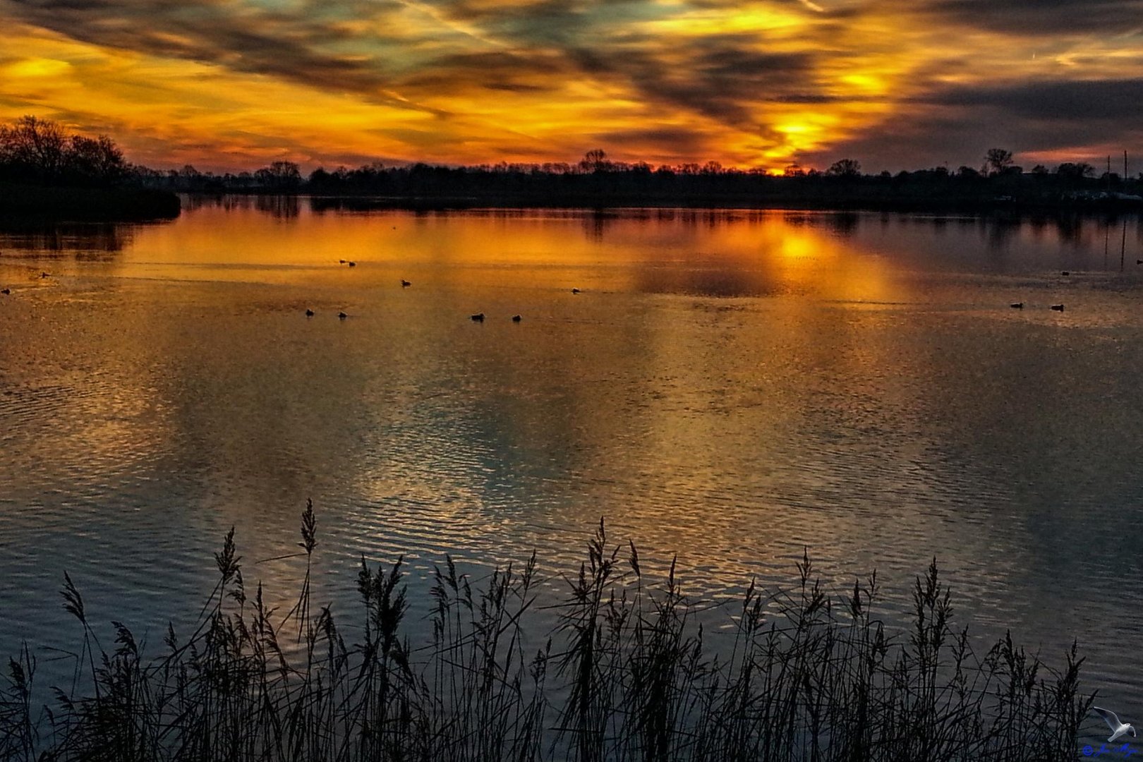 Sonnenuntergang an der Schlei